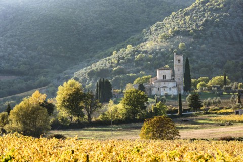Italy, Tuscany, Montalcino, Abbey of Sant'Antimo near Montalcino against green hills