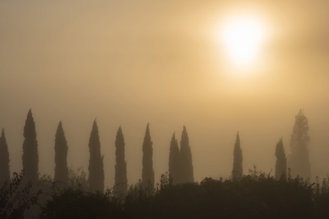 Italy, Tuscany, Sun over misty landscape with cypresses