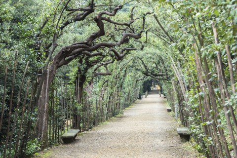 Italy, Tuscany, Florence, Footpath in Boboli gardens