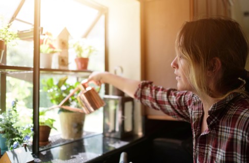 Woman watering plants at home