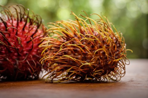 Lychee covered with spiked shell on table