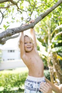 Boy hanging on tree