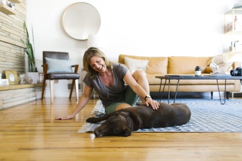 Woman stroking Labrador Retriever in living room