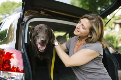Woman with Labrador Retriever on leash in car trunk