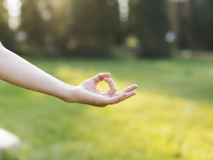 Hand of woman practicing yoga in forest