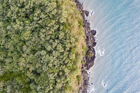 Australia, Queensland, Rainforest by sea