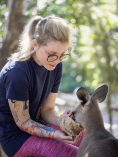 Young woman feeding Eastern grey kangaroo (Macropus giganteus)
