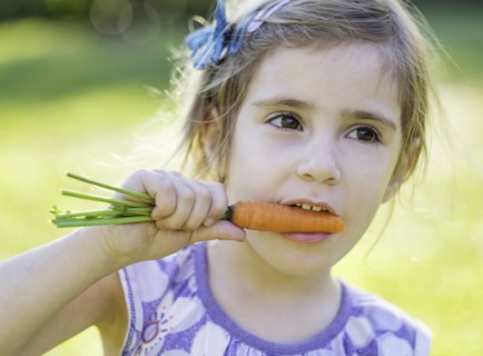 Little girl (4-5) eating carrot