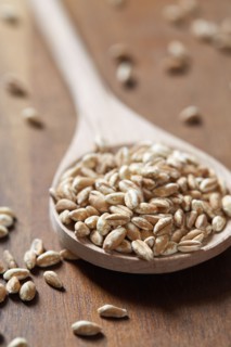 Spoon full of farro