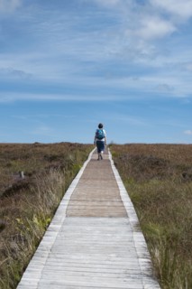 Ireland, Cavan County, Cuilcagh Mountain Park, Woman on boardwalk