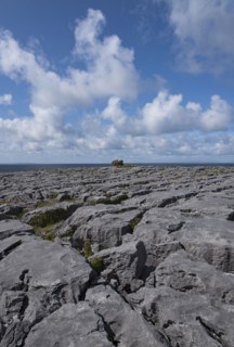 Ireland, Clare County, Burren, Limestone landscape