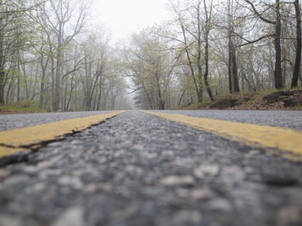 Empty road in forest
