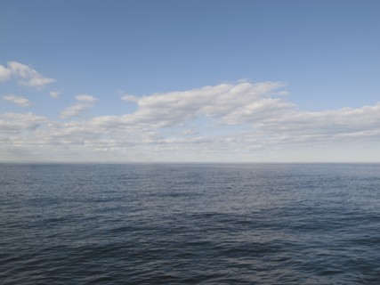 Tranquil sea with sky