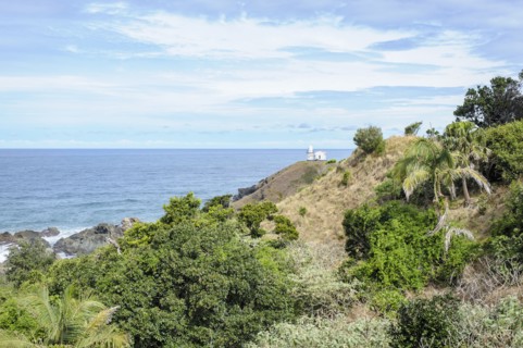 Australia, New South Wales, Landscape of cliff and sea