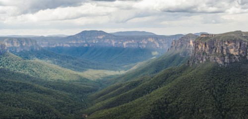 Canyon overgrown by forest
