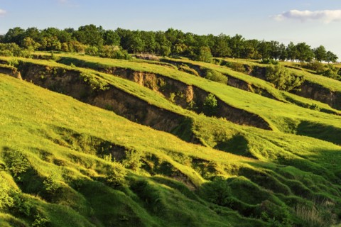Ukraine, Dnepropetrovsk region, Dnepropetrovsk city, Green landscape formed by geological erosion