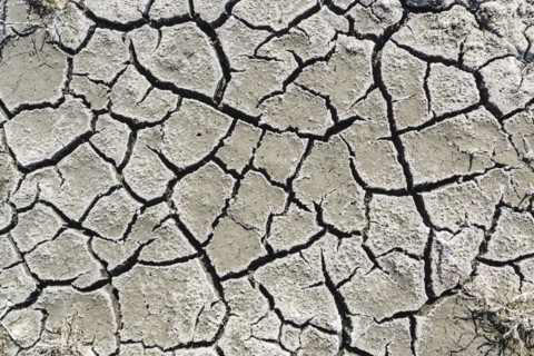 Ukraine, Dnepropetrovsk Region, Novomoskovskiy District, Lake Soleniy Lyman, Cracked dirt