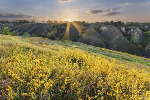 Ukraine, Dnepropetrovsk Region, Novomoskovskiy District, Lake Soleniy Lyman, Sunrise over landscape