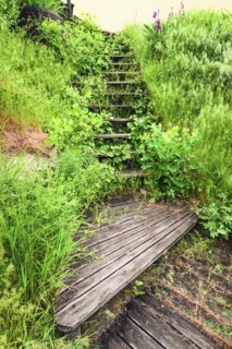 Ukraine, Dnepropetrovsk Region, Dnepropetrovsk District, Voloske, Wooden steps overgrown by grass