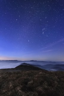 Ukraine, Zakarpattia region, Rakhiv district, Carpathians, Chornohora, Sheshul, Mist over mountain meadow at dawn