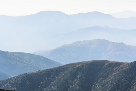 Ukraine, Zakarpattia region, Rakhiv district, Carpathians, Chornohora, Mountain landscape with mist