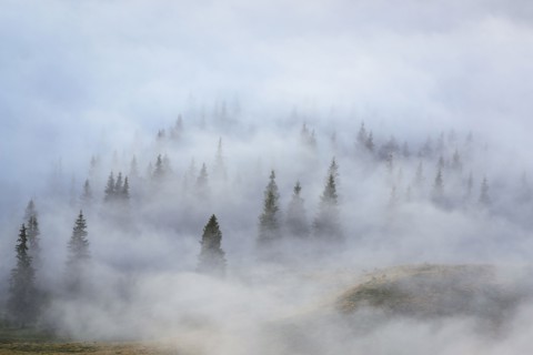 Ukraine, Zakarpattia region, Rakhiv district, Carpathians, Chornohora, mountain Petros