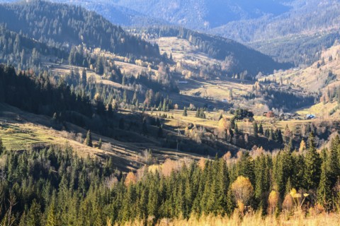 Ukraine, Ivano-Frankivsk region, Verkhovyna district, Carpathians, Dzembronya village