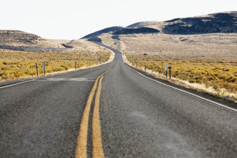 USA, Nevada, Highway 50, Empty road through field