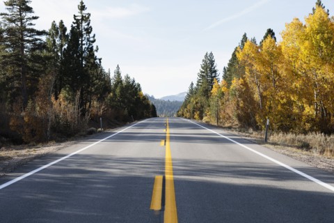 USA, California, Eastern Sierras, Route 88, Empty road among trees