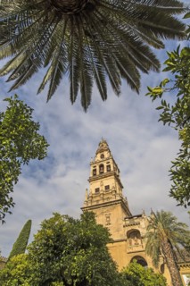 Spain, Andalusia, Cordoba, Minaret of Great Mosque of Córdoba behind trees