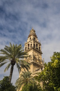 Spain, Andalusia, Cordoba, Minaret of Great Mosque of Córdoba behind trees