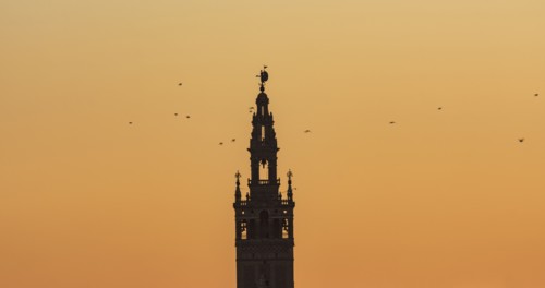 Spain, Andalusia, Seville, Bell tower of La Giralda against yellow sky with birds flying around
