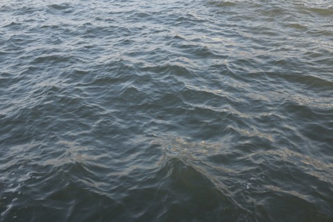 Rippled water