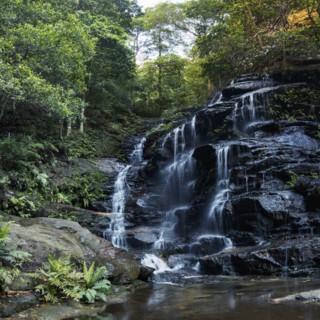 Australia, New South Wales, Waterfall called Wentworth Falls