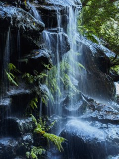 Australia, New South Wales, Waterfall called Wentworth Falls