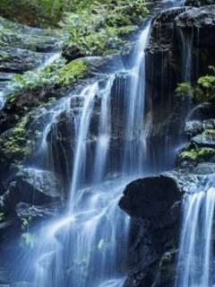 Australia, New South Wales, Waterfall called Wentworth Falls