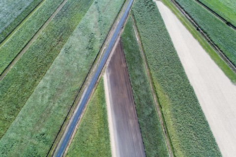 Aerial view of road and fields