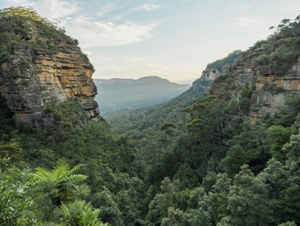 Australia, New South Wales, Landscape of Blue Mountains