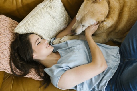 Woman lying on sofa with dog