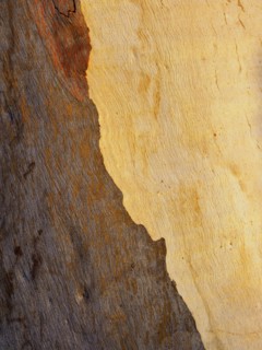 Rock formations in Blue Mountains National Park