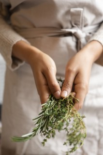 Hands of young woman holding rosemary