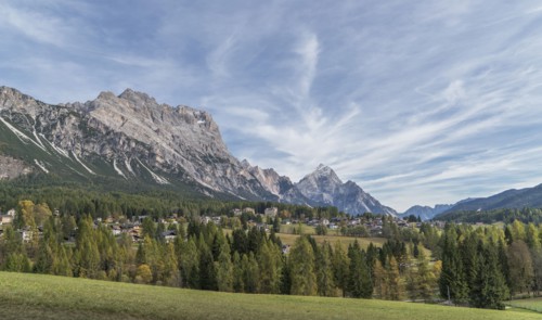 Pine trees and mountain in the Dolomites, South Tyrol, Italy