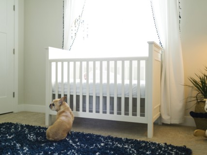 Dog sitting by cot