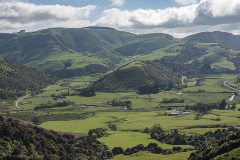 Rural landscape in Tawanui, New Zealand