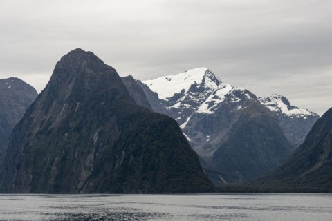 Mountains by sea in Milford Sound, New Zealand