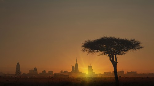 Silhouette of tree in front of city skyline at sunset in Nairobi, Kenya