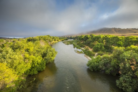 Treelined river in Paso Robles, California, USA