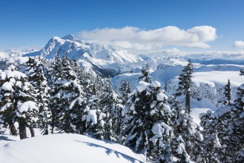 Mount Baker Ski Area in Washington State, USA
