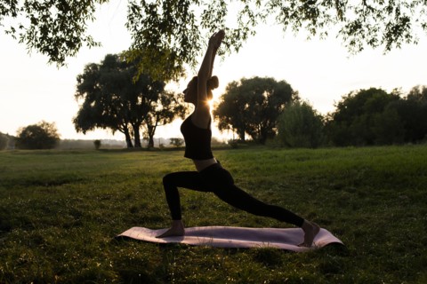 Young woman practicing yoga in park at sunset