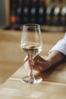 Woman's hand holding glass of white wine
